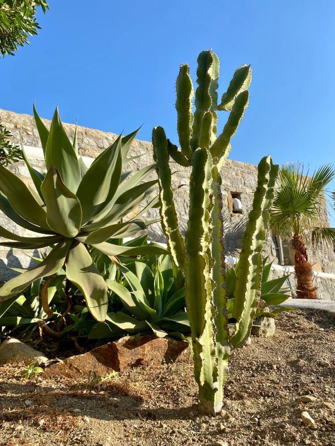 Sensus Mykonos Apartment คาลาฟาติส ภายนอก รูปภาพ